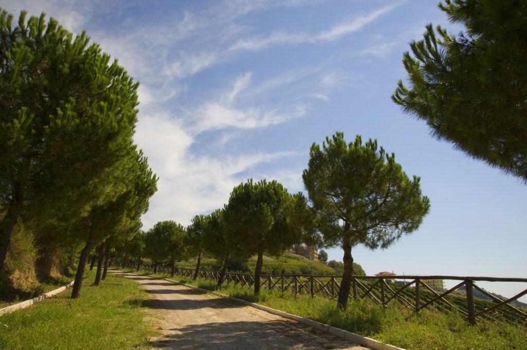 Agriturismo Aqua Viva Acquaviva Picena Buitenkant foto